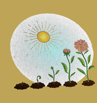 Growth illustration